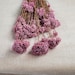 see more listings in the Preserved rice flower section