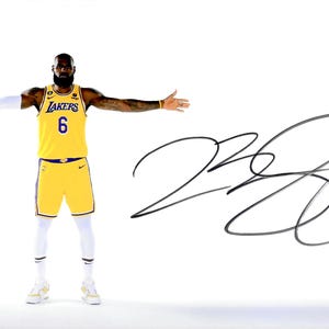 LeBron James Autograph + COA