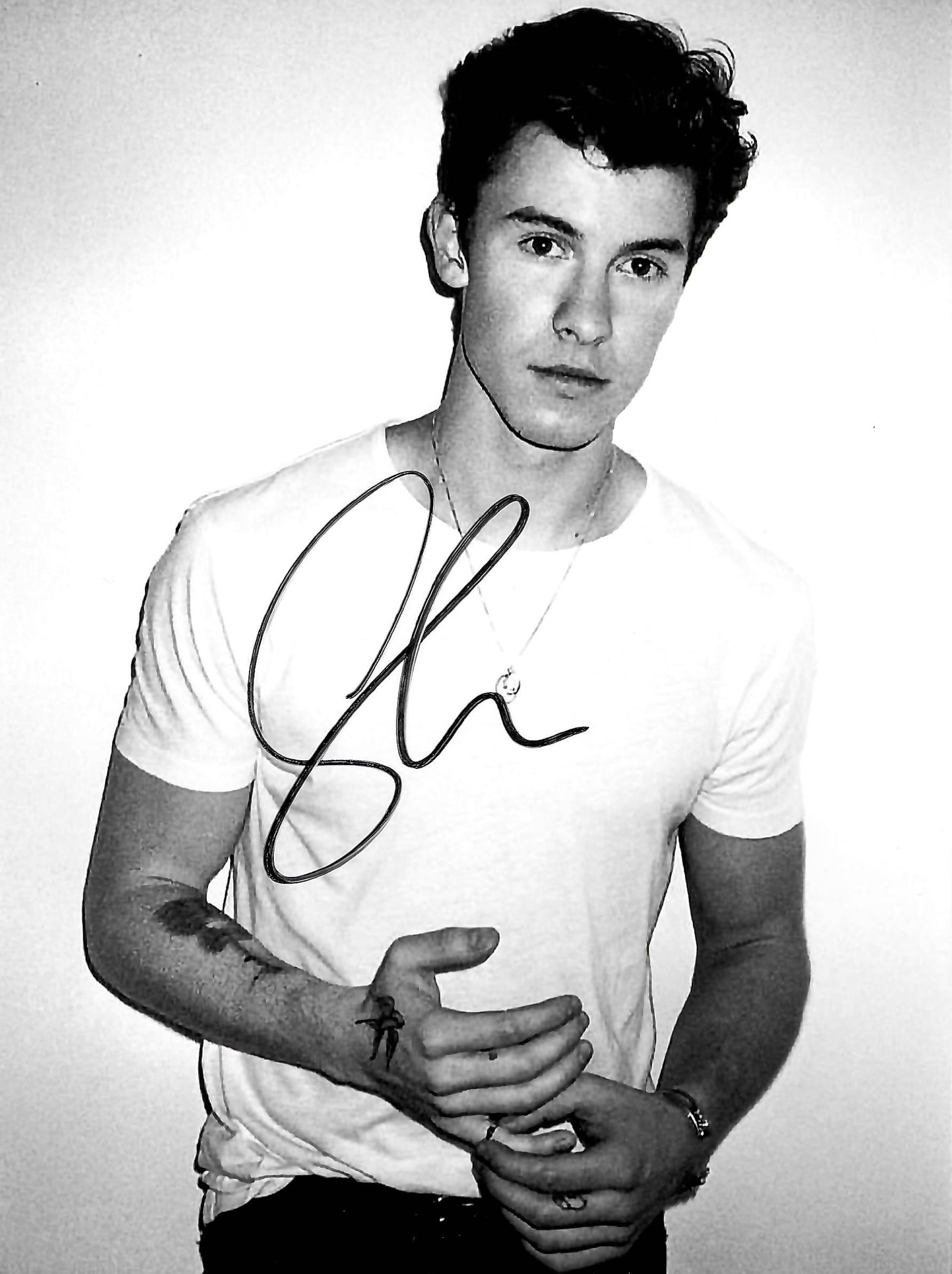 Shawn Mendes The Tour 半袖、サイン入りフォトカード、他 GENUINE SHAWN MENDES LANYARD WORLD TOUR & VIP PASS LAMINATE