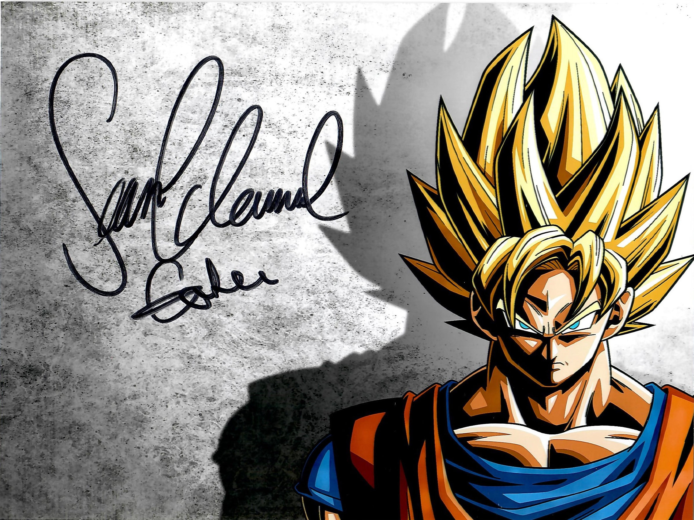Sean Schemmel Autograph + COA (son Goku/dragonball) - Etsy UK