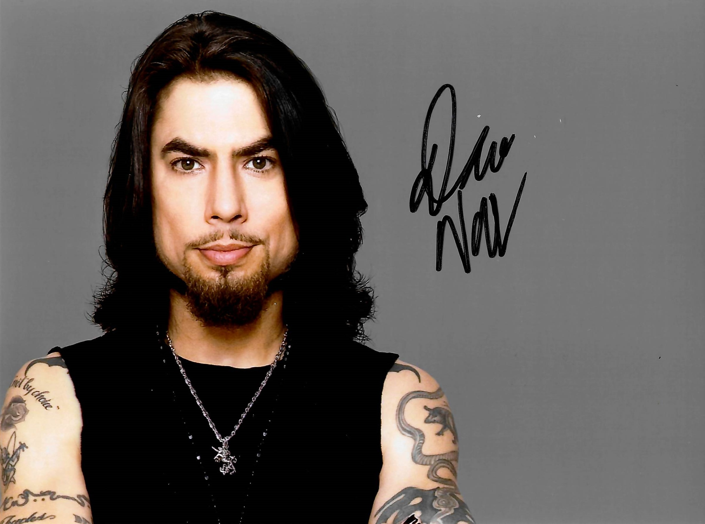Red Hot Chili Peppers Dave Navarro