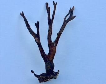 May include: A dark brown, textured, branch-like object with a central stem that splits into multiple smaller, upward-reaching limbs. The base is irregular and root-like, featuring a weathered, organic appearance with deep brown tones.