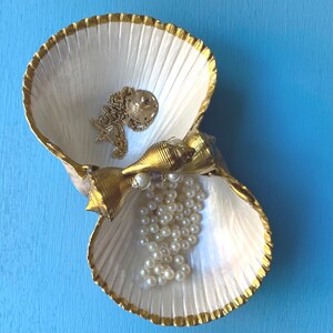 Double Seashell Ring Dish Coastal Decor Jewelry Display Cockle Shell ...