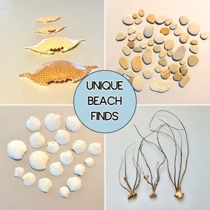 Puede incluir: Una colecci&oacute;n de objetos de playa que incluye cuatro caparazones de cangrejo de varios tama&ntilde;os, un grupo de guijarros lisos de color tostado y blanco, un conjunto de peque&ntilde;as conchas blancas y tres estructuras de ra&iacute;ces secas. Un c&iacute;rculo azul central muestra el texto UNIQUE BEACH FINDS.