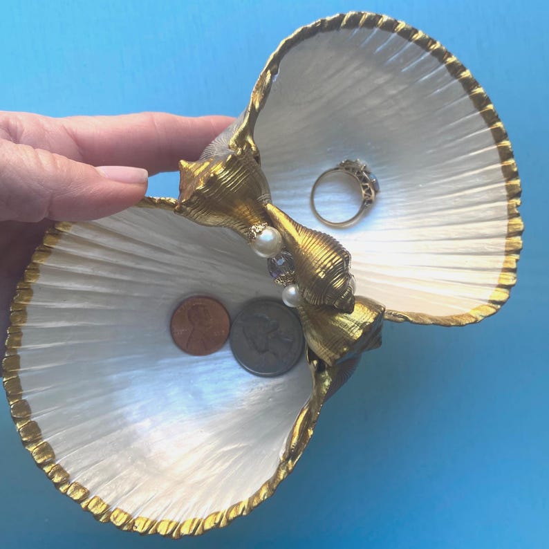 Double Seashell Ring Dish Coastal Decor Jewelry Display Cockle Shell ...
