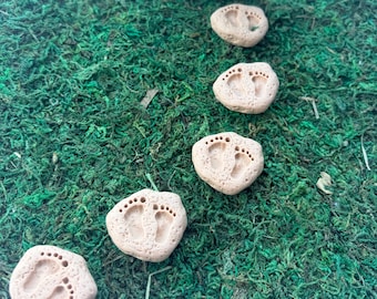 May include: Five light tan, irregularly shaped stones arranged in a path. Each stone features a recessed, stamped impression of a pair of small footprints. The stones have a textured, porous surface and are positioned on a vibrant green mossy base.