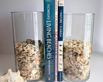 May include: Two clear cylindrical glass vases filled with small beige and white seashells, positioned on either side of three books titled Florida's Living Beaches, Florida's Seashells, and The Nature of Florida, with a large conch shell nearby.