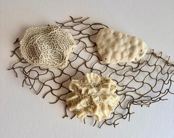 May include: Three off-white, textured coral pieces arranged on a brown, diamond-patterned fishing net. The coral specimens display varied organic shapes, including one with a dense, porous surface and two with intricate, ridged structures.
