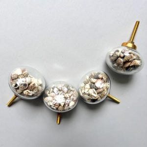May include: Four round cabinet knobs featuring clear glass domes filled with a collection of small, natural seashells in shades of tan, brown, white, and grey. Each knob has a gold-toned metal base and a threaded screw for mounting purposes.