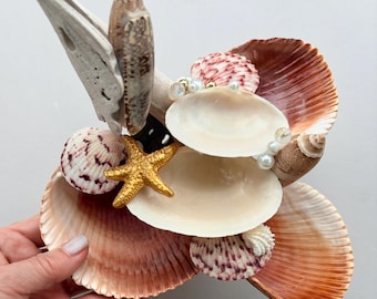 May include: A decorative arrangement of various seashells including large fan-shaped brown shells, smaller patterned bivalves, and a central gold-painted starfish. The composition is accented with small white faux pearls and a piece of white driftwood.