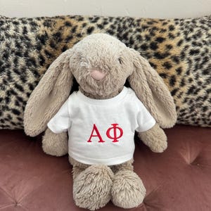 Puede incluir: Un conejo de peluche marrón claro, con orejas largas y una nariz rosa, que lleva una camiseta blanca bordada con letras griegas rojas. El fondo incluye un cojín con estampado de leopardo y una superficie rosa.