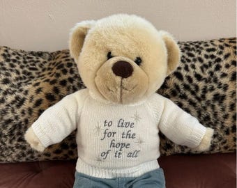 Embroidered teddy sweater Jumper for swiftie build a bear clothes