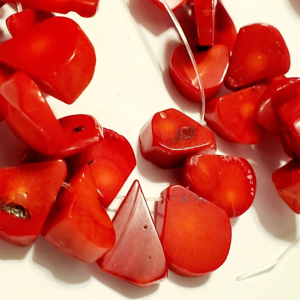 Red Bamboo Coral Teardrop 20-30mm Gemstone Beads Full Strand