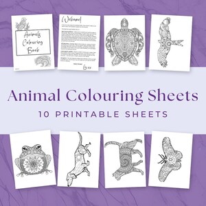 10 Animal Colouring Sheets, Animal Printable, Animal Activity, Adult and Children Colouring, Printable Colouring Sheets, Instant Download