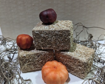 Miniature Hay Bales with Mini Pumpkins, Farmhouse Hay Ride Pumpkin Display