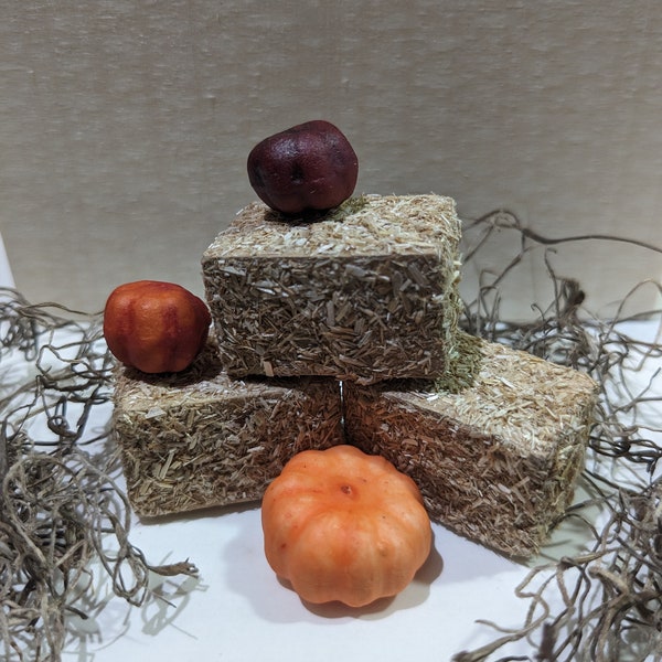 Miniature Hay Bales with Mini Pumpkins, Farmhouse Hay Ride Pumpkin Display