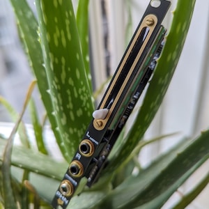 May include: A black and gold electronic audio module with three input jacks labelled "L MONO", "R", and "PHONES". The module has a white slider and is mounted on a green circuit board. The module is set against a background of green aloe vera leaves.