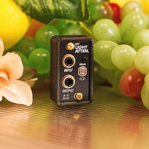 May include: A black electronic device with the text "OHP LIGHT ATTEN." and "INPUT" and "OUTPUT". The device has gold-colored connectors and is surrounded by green grapes and a yellow lemon.