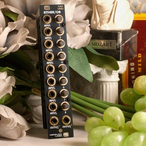 May include: A black electronic module labeled "EITHER/OR" with multiple input and output jacks and knobs. The module has the text "HERZLICH LABS" at the bottom. The module is surrounded by white flowers and green grapes.