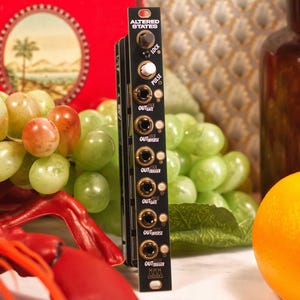 May include: Black electronic module with the text "ALTERED STATES" and multiple jacks and knobs. The module is black with gold and white accents. The background includes green grapes, a red box, and an orange.