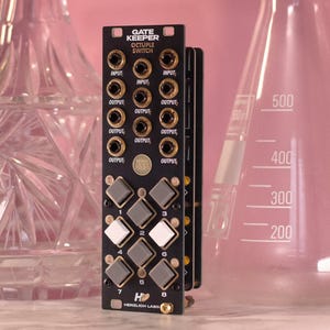 Op de afbeelding: Zwart elektronisch module met de tekst "GATE KEEPER OCTUPLE SWITCH" met meerdere input- en outputaansluitingen. Het heeft acht ruitvormige knoppen, genummerd 1-8, en de tekst "HERZLICH LABS". De module staat tegen een roze achtergrond.