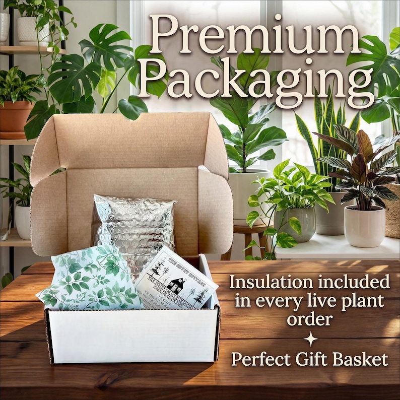 Puede incluir: Caja de cart&oacute;n abierta con interior blanco, que contiene un paquete aislado plateado, papel de seda con un patr&oacute;n de hojas verdes y una peque&ntilde;a caja blanca con texto. El texto "Premium Packaging" est&aacute; en la parte superior. El texto "Insulation included in every live plant order" y "Perfect Gift Basket" est&aacute;n en la parte inferior.