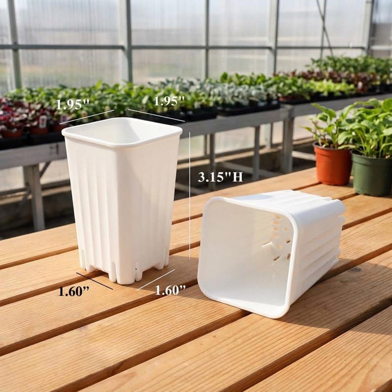 Puede incluir: Dos macetas cuadradas de pl&aacute;stico blanco. Cada maceta mide aproximadamente 4,95 cm de ancho, 4,06 cm de profundidad y 8,00 cm de alto. Las macetas tienen un dise&ntilde;o acanalado y orificios de drenaje. Una maceta est&aacute; en posici&oacute;n vertical y la otra est&aacute; acostada de lado.