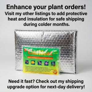 Puede incluir: Una bolsa de env&iacute;o aislante plateada con un calentador de env&iacute;o UniHeat verde y amarillo. El texto en el calentador dice "MULTI-PURPOSE JUMBO SHIPPING WARMER". La imagen tambi&eacute;n contiene texto que dice "Enhance your plant orders!"