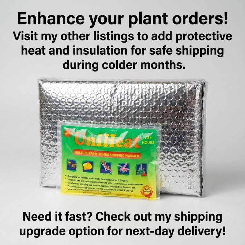 Puede incluir: Una bolsa de env&iacute;o aislante plateada con un calentador de env&iacute;o UniHeat verde y amarillo. El texto en el calentador dice "MULTI-PURPOSE JUMBO SHIPPING WARMER". La imagen tambi&eacute;n contiene texto que dice "Enhance your plant orders!"