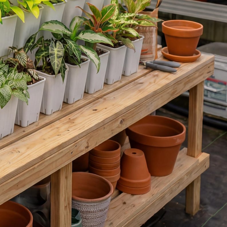 Puede incluir: Un banco de jardiner&iacute;a de madera con varias plantas en macetas blancas y macetas de terracota. Las plantas tienen hojas verdes y rojas. Unas tijeras grises est&aacute;n en el estante superior.