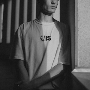 Cis Sis LGBTIQ Gay non binary tshirt