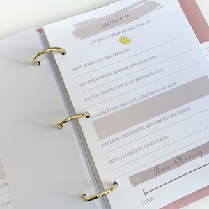 Pages de journal interchangeables/supplémentaires Journal de grossesse (p. ex. fausse couche)
