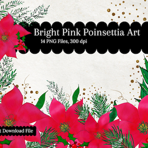 Christmas clip art of bright pink poinsettias, holly berries, green, gold glitter, png bundle, 300 dpi, holiday clipart, digital download