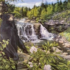 Blackwater Falls /Limited edition, signed  Thomas Stahl Original  / Tom Stahl Original Print  / Wall Art / Gallery of Arts / Bear Print