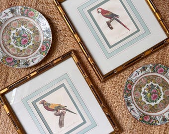 Pair of Mario Buatta Framed Parrot Prints in Gold Bamboo Frames
