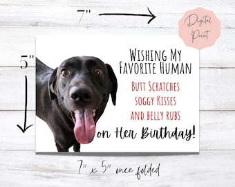 Birthday Card for Dog Mom From Adorable Black Lab to My Favorite