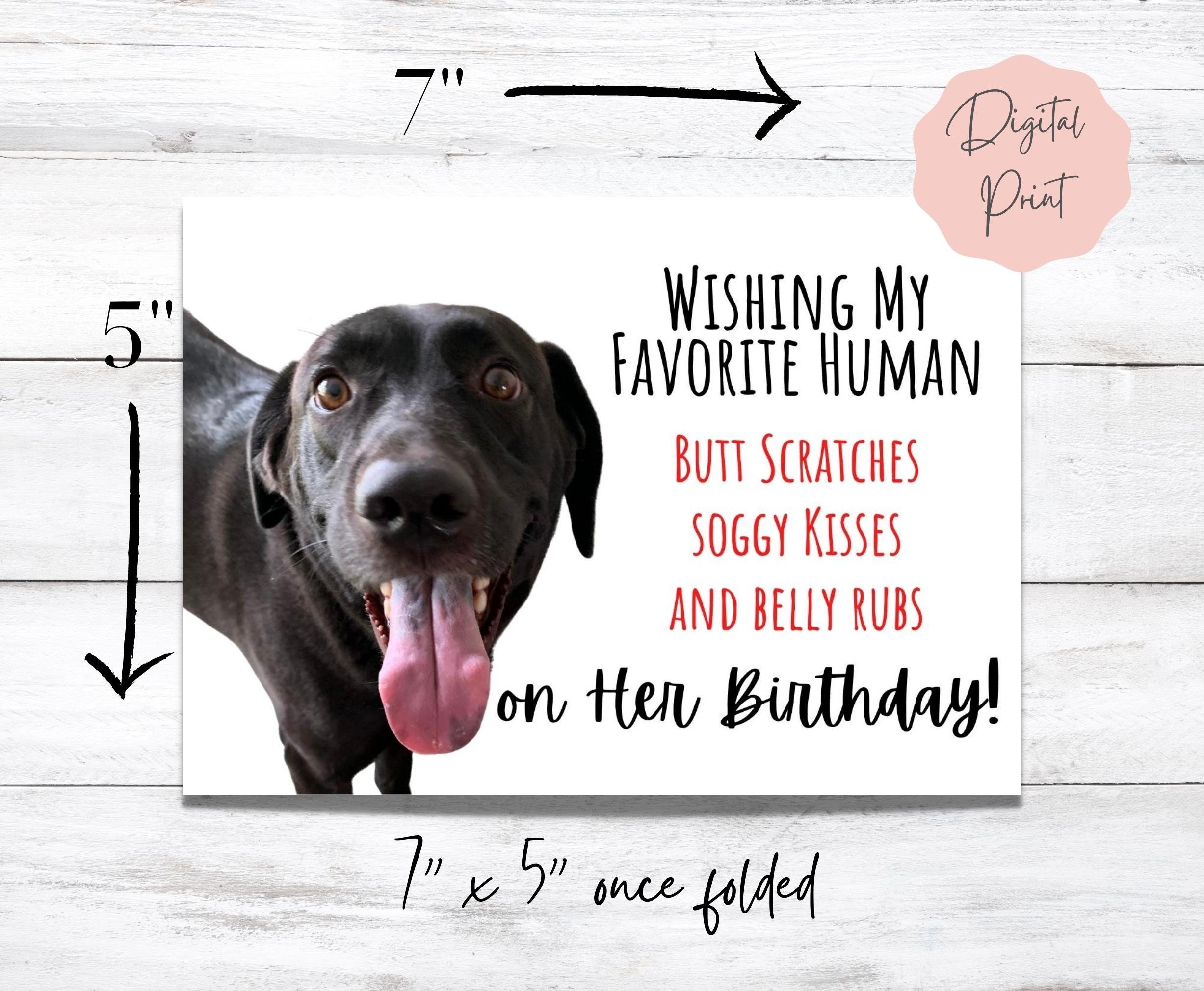 Black Lab Birthday Card For Dog Mom | From Dog (digital File) - UK