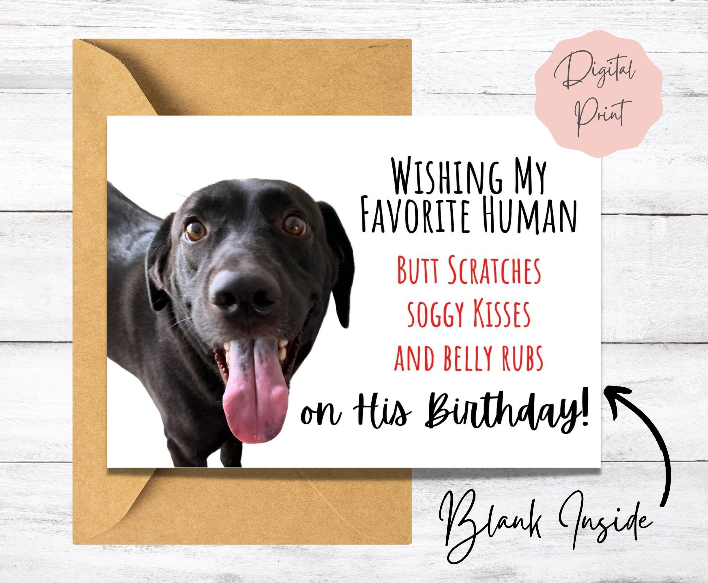 Geburtstagskarte Mit Schwarzem Labrador – "Happy Birthday