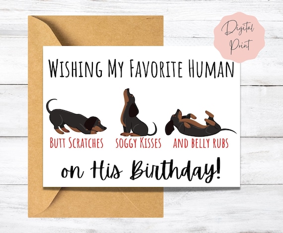 Birthday Cards From The Dogs - We Wuff You Very Much - Happy Birthday Card From Doggie For Mum, Funny Dog Dad Gifts, 145mm X 145mm Joke Mothers Day Father's Day Greeting