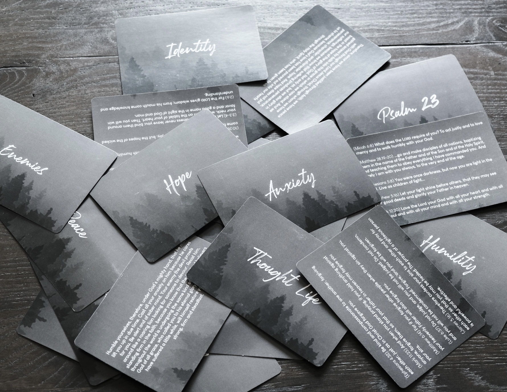 TruthPack Scripture Cards