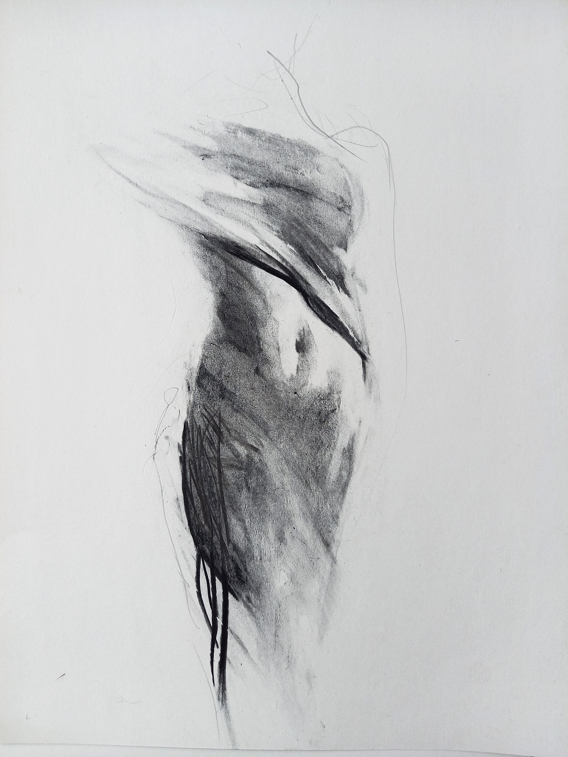 Woman Sketch Body Sketch Black and White Wall Art Sensual Female Sketch  Charcoal Art Handmade Alinaloukaart - Etsy