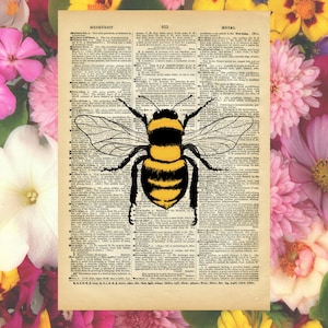 May include: A vintage dictionary page featuring a detailed illustration of a bumblebee. The bee is black and yellow, with transparent wings. The background is a collage of colorful flowers, including pink, yellow, and white blooms.