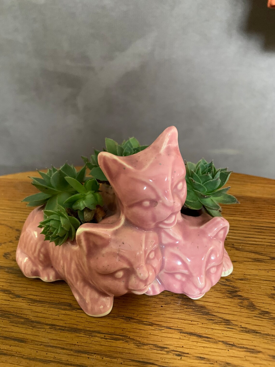 The Three Little Kittens Vintage Planter Pink Ceramic Pot, Quirky Succulent Container, Unique