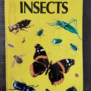 May include: A Golden Guide book titled "INSECTS" with a yellow cover. The cover features illustrations of various insects, including a large butterfly with black and orange wings, beetles, and a grasshopper. The price is $1.50.