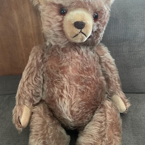Steiff Growling Bear - Etsy