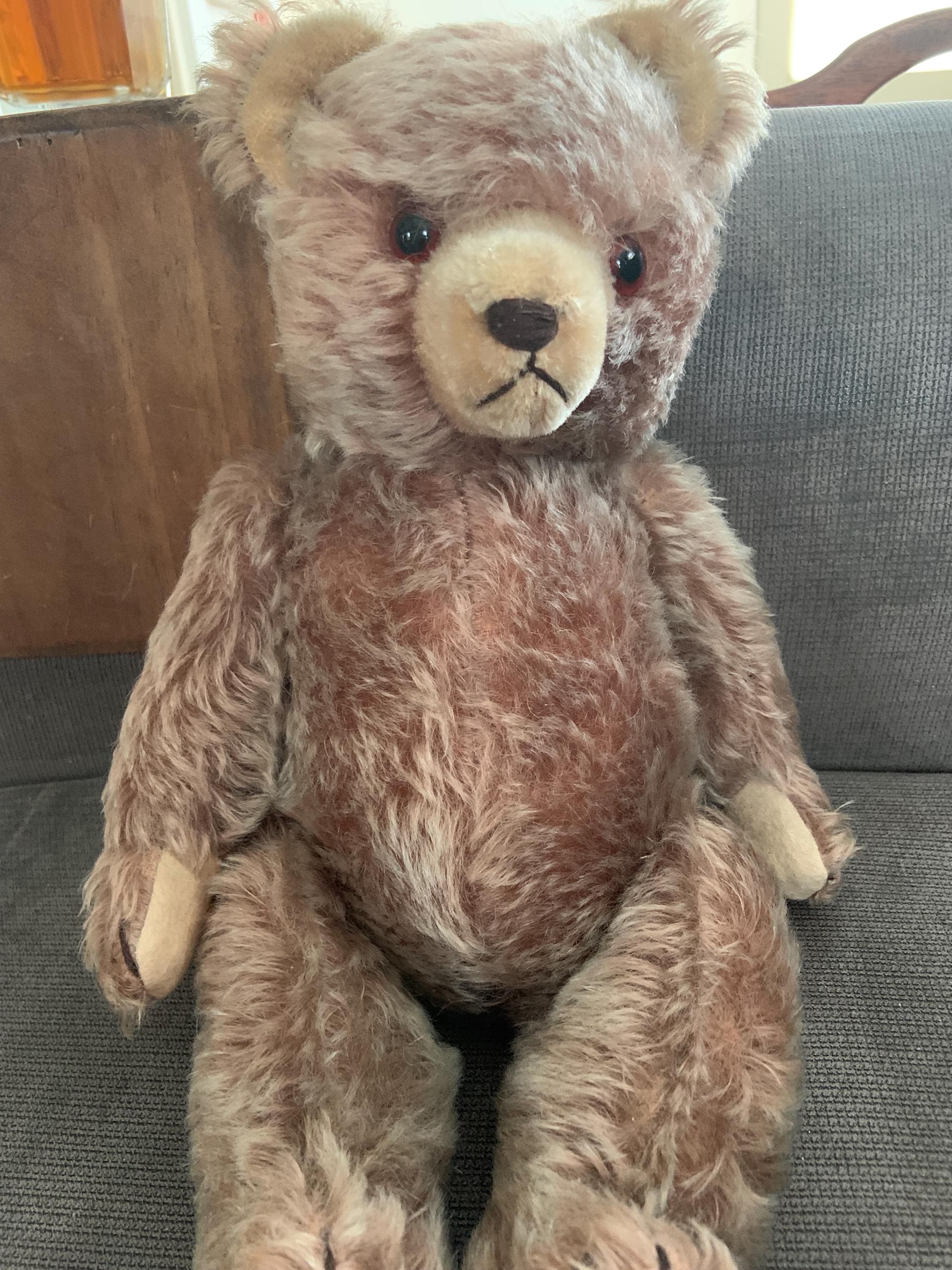 Steiff Growling Bear - Etsy