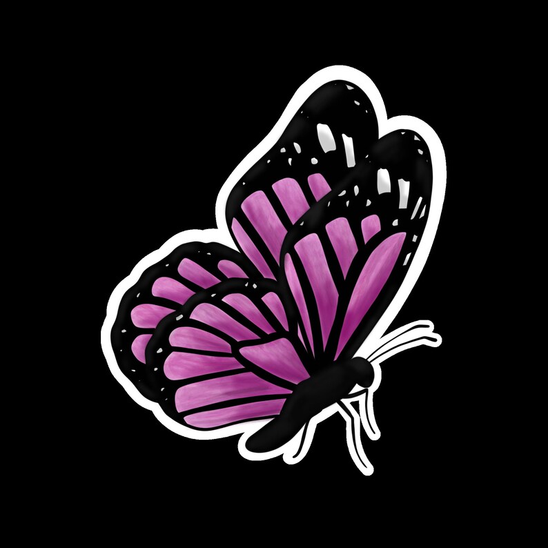 Butterfly Stickers, Print and Cut, Cricut Sticker Files, Cricut PNG