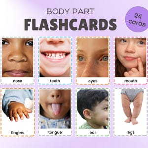 May include: Flashcards for learning body parts. The cards feature images of a nose, teeth, eyes, mouth, fingers, tongue, ear, and legs. The text "BODY PART FLASHCARDS" is at the top, with "24 cards" in a circle.