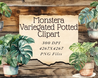 Monstera Variegated Potted Houseplant digital watercolor Clipart PNG files
