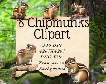 Chipmunk PNG Clipart 8 images Watercolor Sublimation File Card Making Journaling Scrapbooking